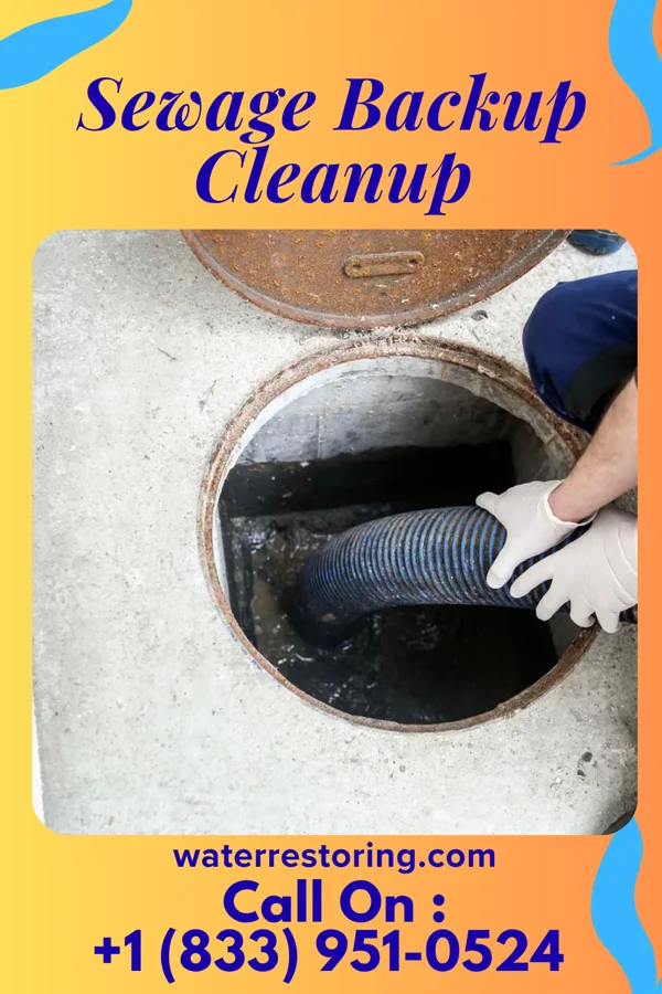 Sewage Backup Cleanup in West Falls, PA