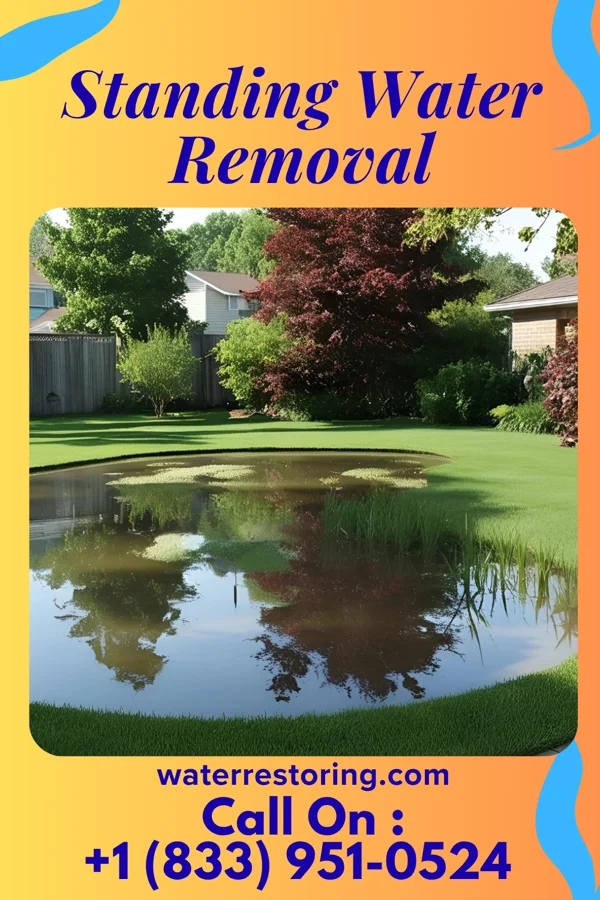 Standing Water Removal in West Falls, PA